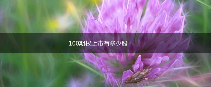 100期权上市有多少股,第1张