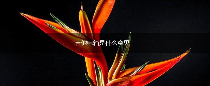 吉他电箱是什么意思,第1张