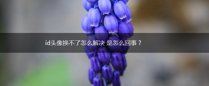 id头像换不了怎么解决 是怎么回事？,第1张