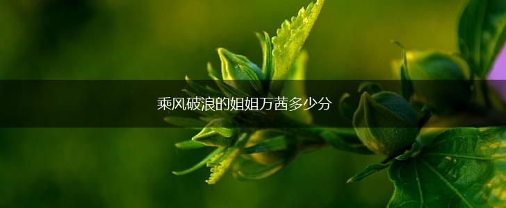 乘风破浪的姐姐万茜多少分,第1张 乘风破浪的姐姐万茜多少分,第1张