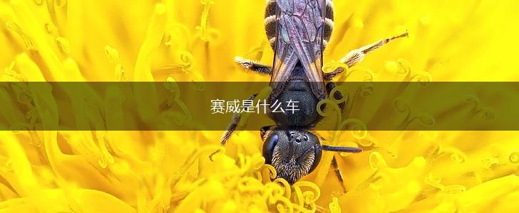 赛威是什么车,第1张