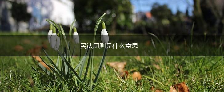 民法原则是什么意思,第1张