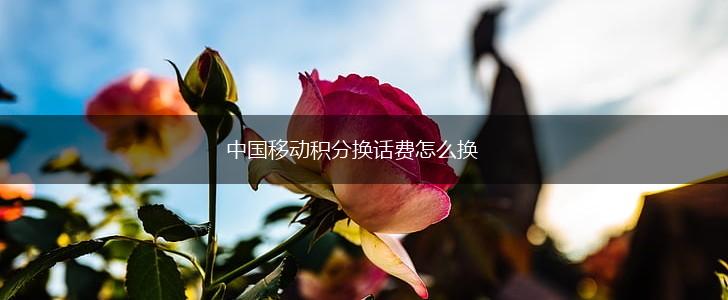 中国移动积分换话费怎么换,第1张