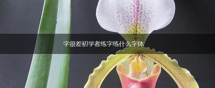 字很差初学者练字练什么字体,第1张 字很差初学者练字练什么字体,第1张