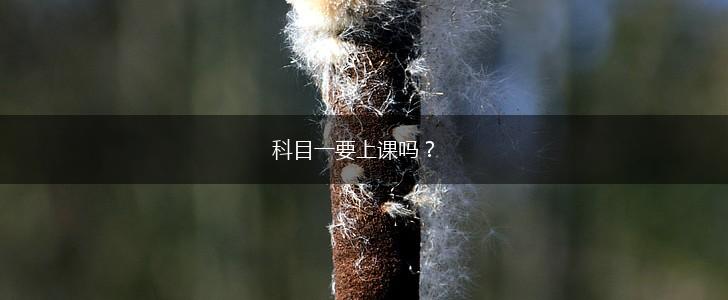 科目一要上课吗？,第1张