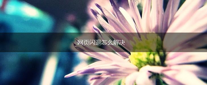 网页闪退怎么解决,第1张