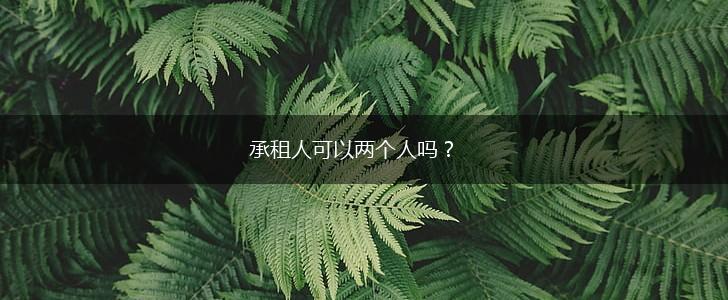 承租人可以两个人吗？,第1张