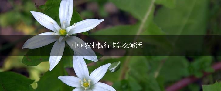 中国农业银行卡怎么激活,第1张