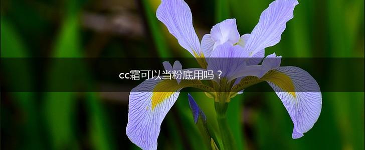 cc霜可以当粉底用吗？,第1张