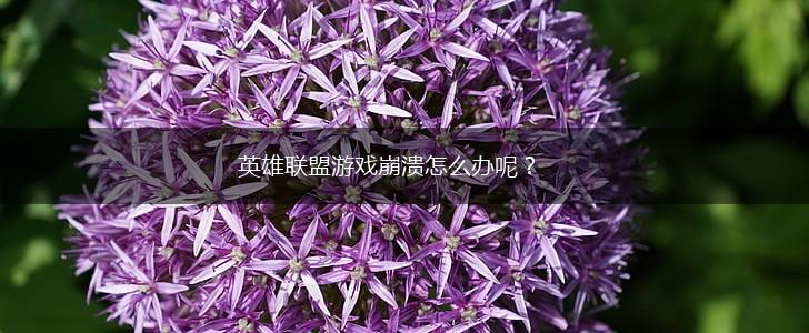 英雄联盟游戏崩溃怎么办呢？,第1张