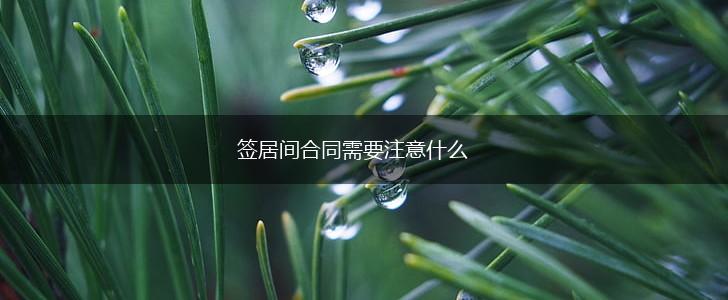 签居间合同需要注意什么,第1张