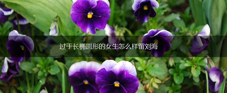 过于长椭圆形的女生怎么样留刘海,第1张