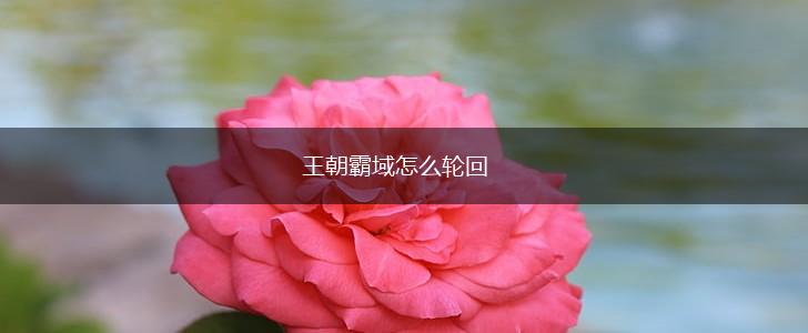 王朝霸域怎么轮回,第1张