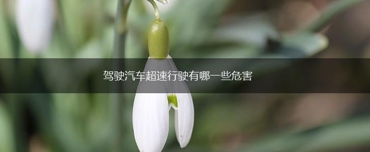驾驶汽车超速行驶有哪一些危害,第1张