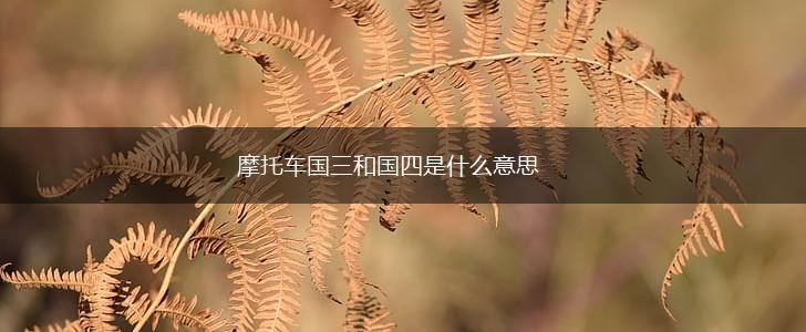 摩托车国三和国四是什么意思,第1张