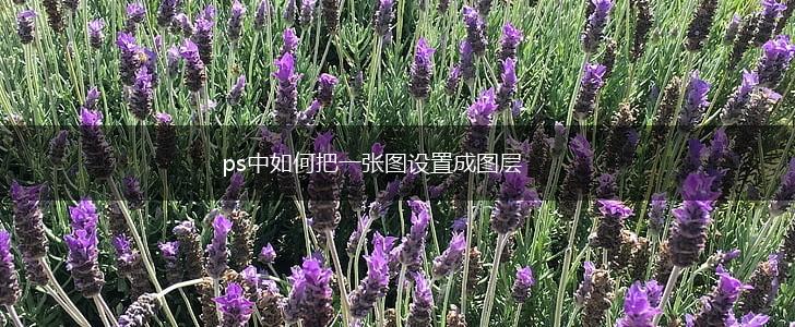ps中如何把一张图设置成图层,第1张