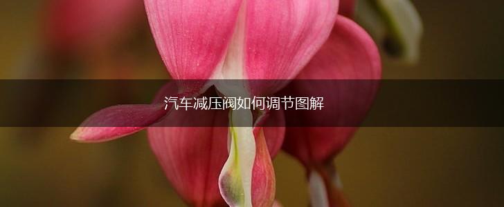 汽车减压阀如何调节图解,第1张