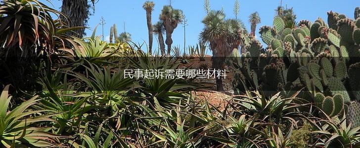 民事起诉需要哪些材料,第1张