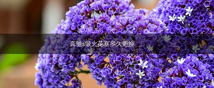奔驰s级火花塞多久更换,第1张