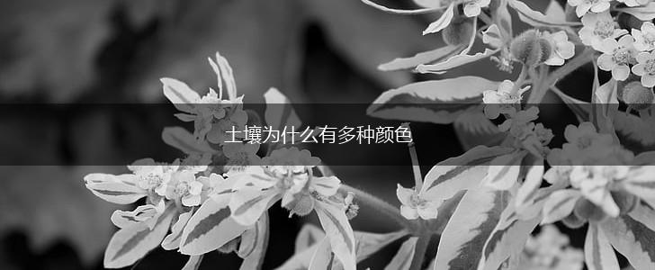 土壤为什么有多种颜色,第1张