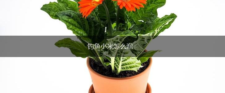 钓鱼小米怎么泡,第1张