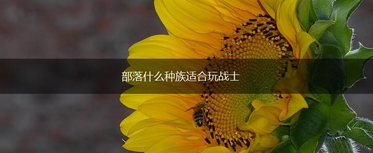 部落什么种族适合玩战士,第1张