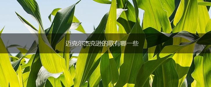 迈克尔杰克逊的歌有哪一些,第1张