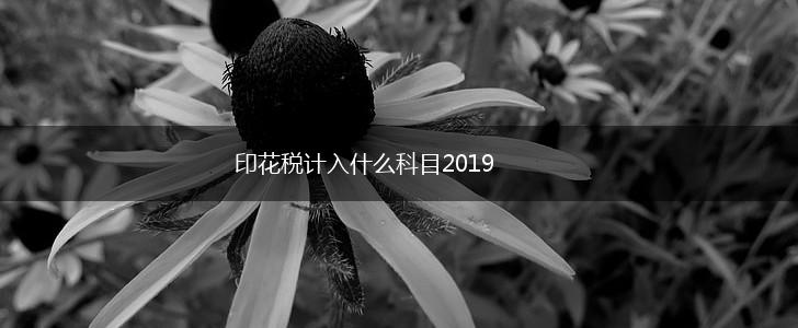 印花税计入什么科目2019,第1张