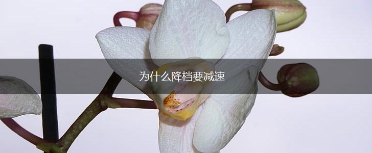 为什么降档要减速,第1张