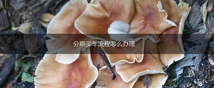 分期买车流程怎么办理,第1张