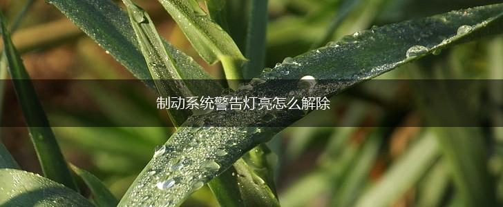 制动系统警告灯亮怎么解除,第1张