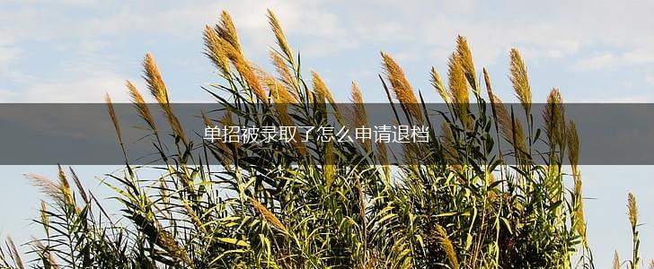 单招被录取了怎么申请退档,第1张