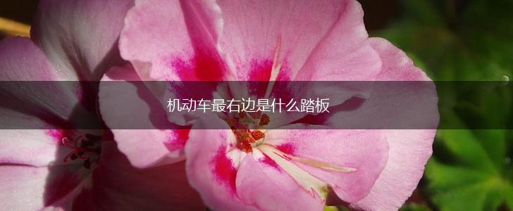 机动车最右边是什么踏板,第1张