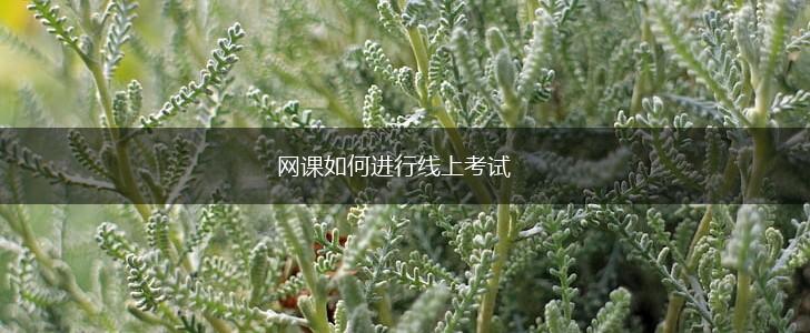 网课如何进行线上考试,第1张