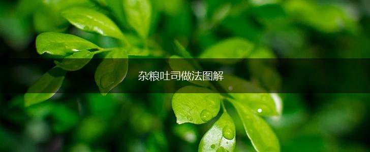 杂粮吐司做法图解,第1张