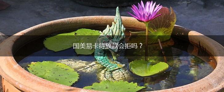 国美易卡待放款会拒吗？,第1张