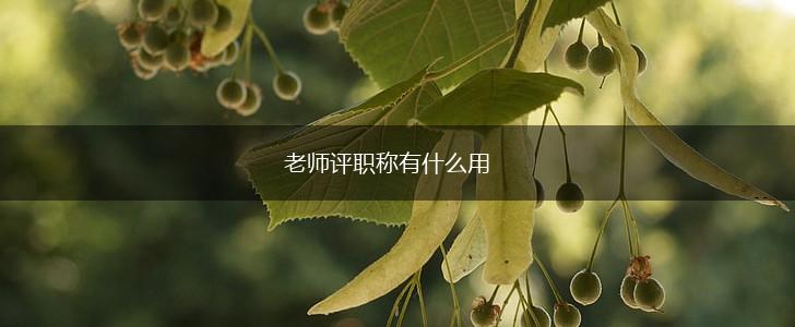 老师评职称有什么用,第1张