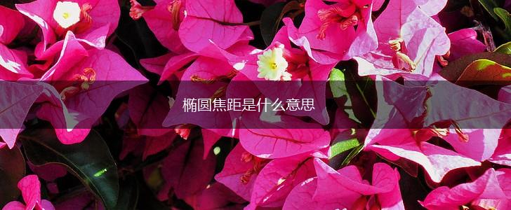 椭圆焦距是什么意思,第1张