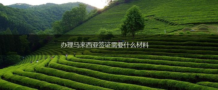 办理马来西亚签证需要什么材料,第1张