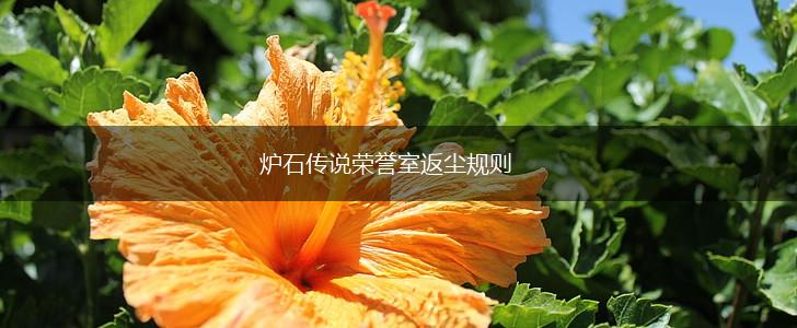 炉石传说荣誉室返尘规则,第1张