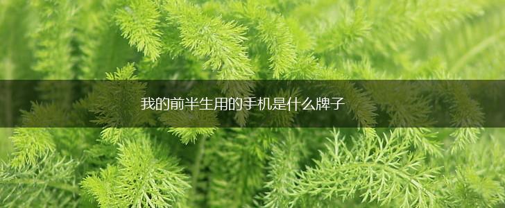 我的前半生用的手机是什么牌子,第1张