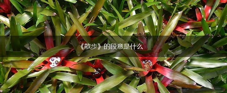 《散步》的段意是什么,第1张
