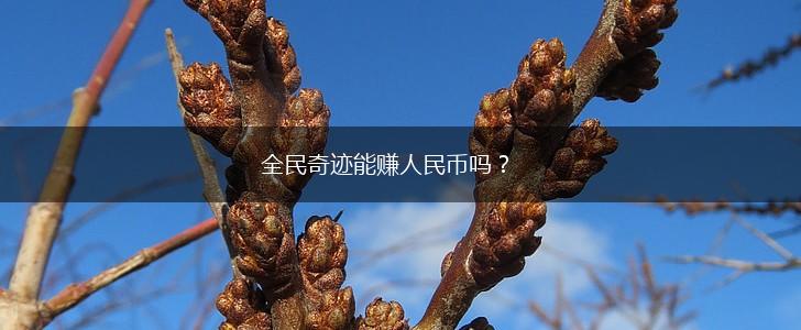 全民奇迹能赚人民币吗？,第1张