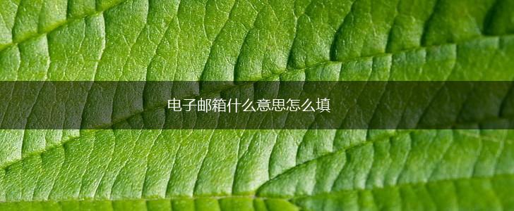 电子邮箱什么意思怎么填,第1张