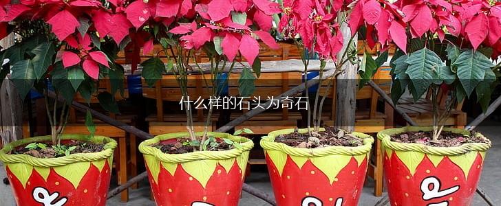 什么样的石头为奇石,第1张 什么样的石头为奇石,第1张