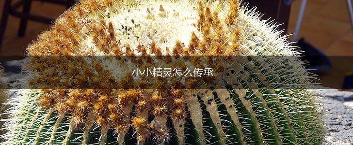 小小精灵怎么传承,第1张