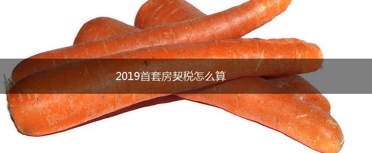 2019首套房契税怎么算,第1张