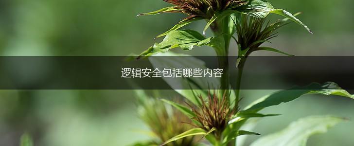逻辑安全包括哪些内容,第1张