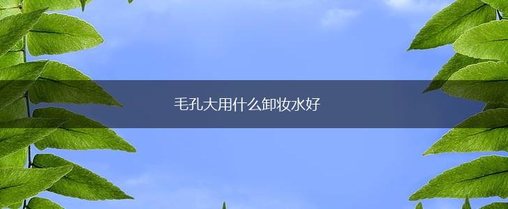 毛孔大用什么卸妆水好,第1张