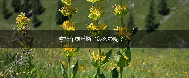 摩托车螺丝断了怎么办呢？,第1张